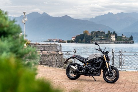 LEONCINO 800 E5 14