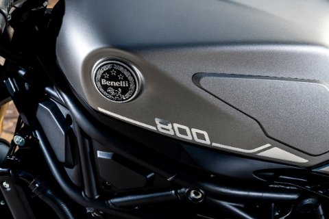 LEONCINO 800 E5 19